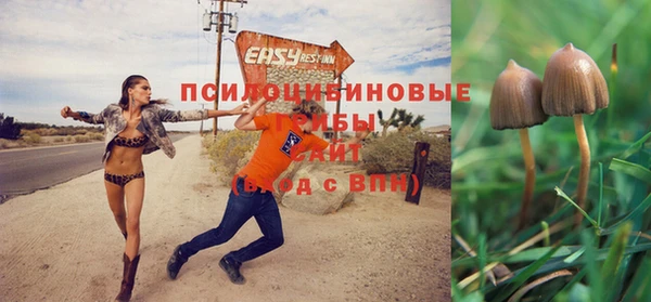 МДМА Няндома